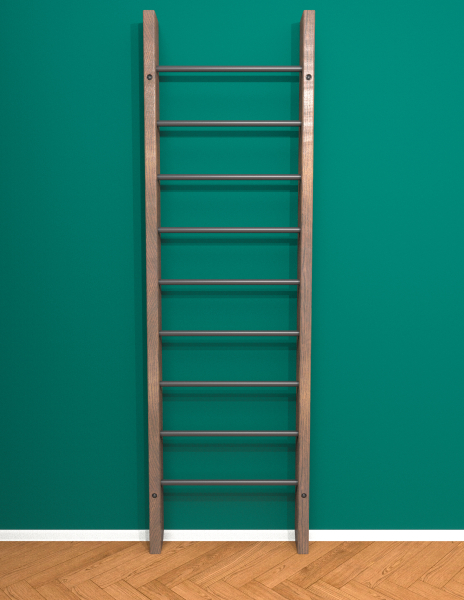 картинка Брашированная шведская стенка "Кастерли" Классик (Черные ступени) от магазина Лазалка