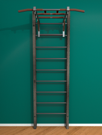 Брашированная шведская стенка "Кастерли" Черный с турником (Черные ступени)