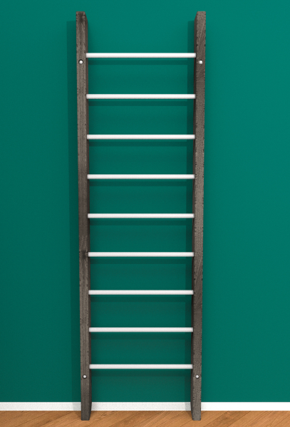 картинка Брашированная шведская стенка "Кастерли" Черный (Белые ступени) от магазина Лазалка