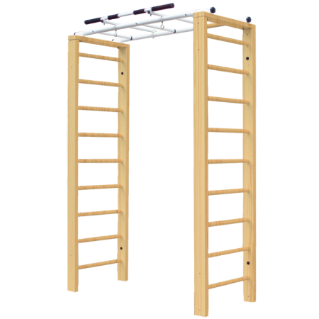 Домашний комплекс с рукоходом Лука