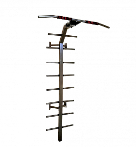 Силовая шведская стенка угловая с турником